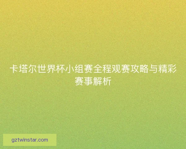 卡塔尔世界杯小组赛全程观赛攻略与精彩赛事解析