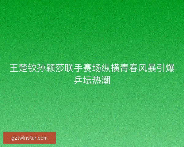 王楚钦孙颖莎联手赛场纵横青春风暴引爆乒坛热潮